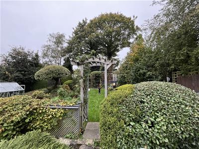 Picture 24